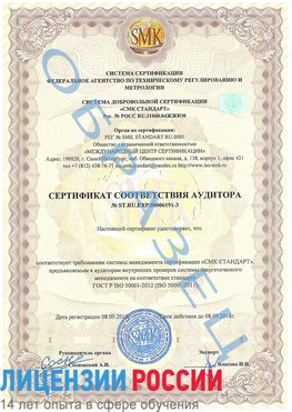 Образец сертификата соответствия аудитора №ST.RU.EXP.00006191-3 Бор Сертификат ISO 50001